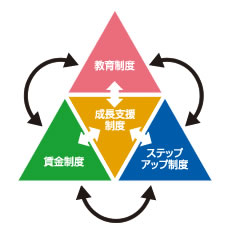 人事制度体系図